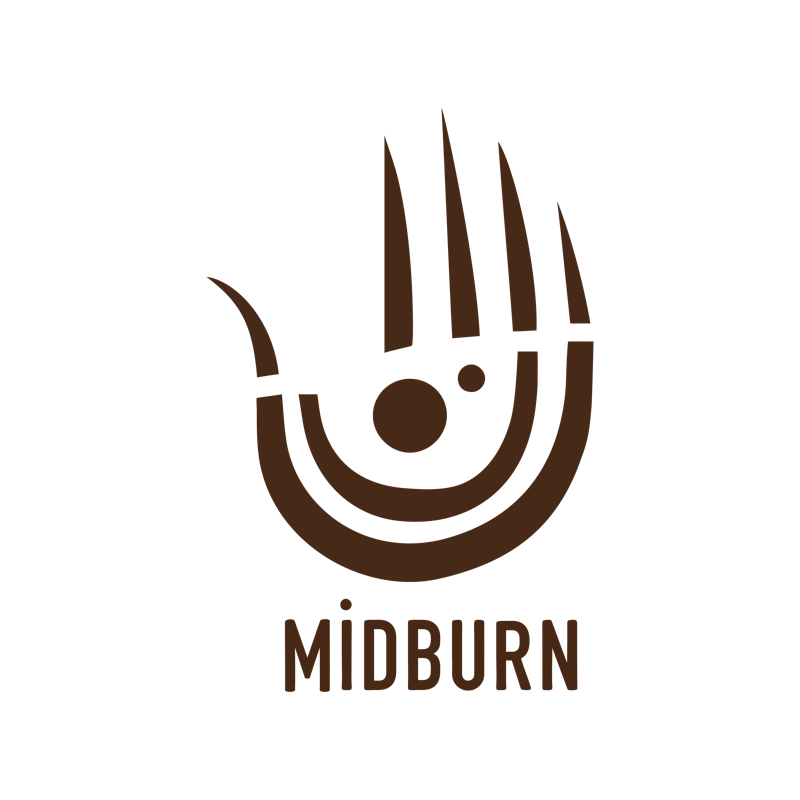 Midburn